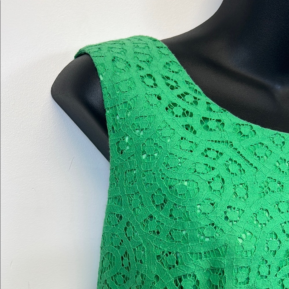 Antonio Melani Chic Green Lace Sleeveless Dress with Eyelash trim Size 12 - Picture 7 of 12